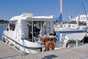 Flodb�d 400357: Comfort Cruiser 6/8 2