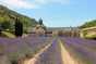 Cykelferie 8001: Provence 4